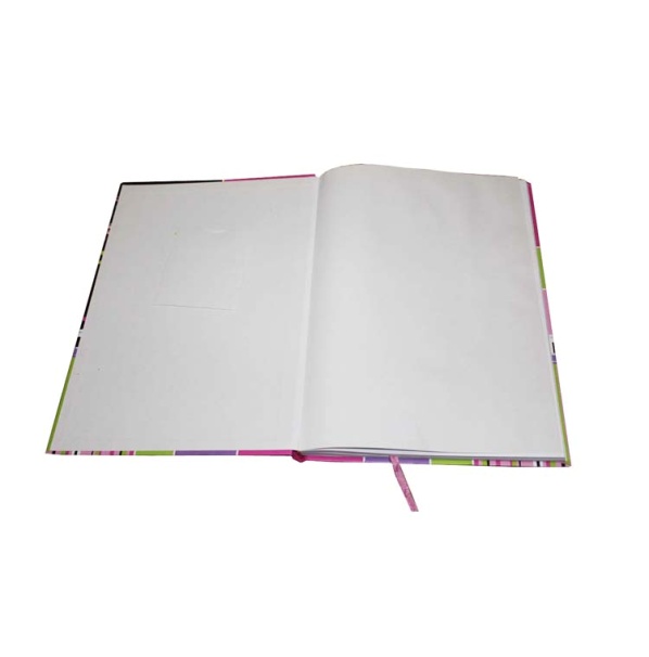 girls diary